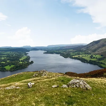 度假居 Cattle Cake